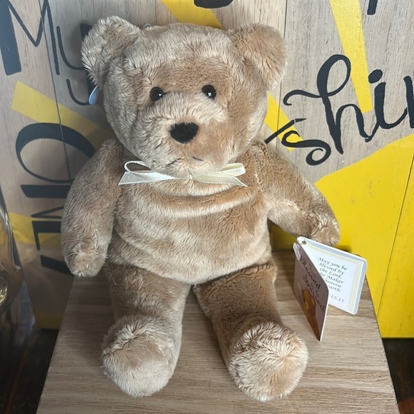 Too Blessed to Be Stressed Holy Bear Plush Stuufed Animal 🐻 2003 - Picture 14 of 14
